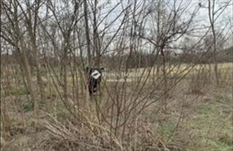 Eladó Hernádi lakóövezeti telek hirdetés (27339329)