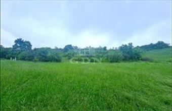 Eladó Mányi termőföld, szántó hirdetés (44247375)