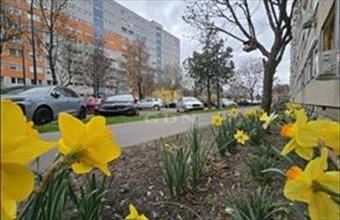 Eladó Budapest XIV. kerületi panel lakás hirdetés (12356335)