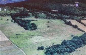 Eladó Budapest II. kerületi lakóövezeti telek hirdetés (19113152)