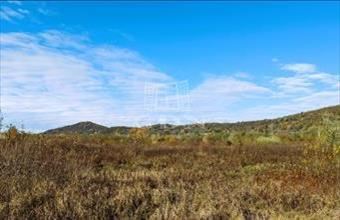 Eladó Budapest II. kerületi lakóövezeti telek hirdetés (99394334)