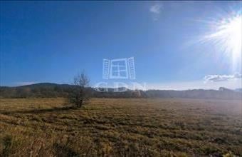 Eladó Budapest II. kerületi lakóövezeti telek hirdetés (34395935)