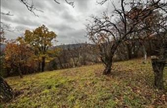 Eladó Pécsi egyéb telek hirdetés (76329342)