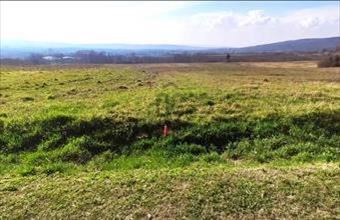 Eladó Zalaszántói lakóövezeti telek hirdetés (58458464)