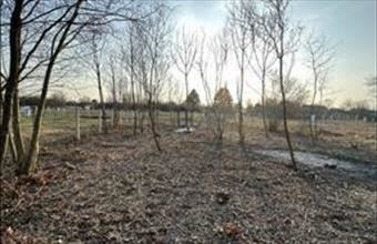 Eladó Siófoki lakóövezeti telek hirdetés (38532964)