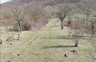 Eladó Márianosztrai egyéb mezőgazdasági ingatlan hirdetés (97464335)