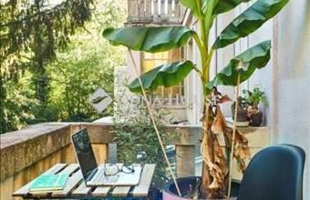 Eladó Budapest II. kerületi tégla lakás hirdetés (53455868)