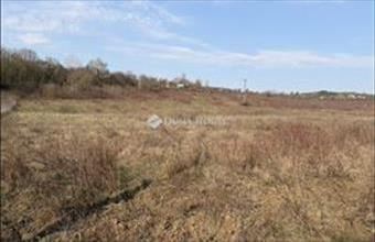 Eladó Váci külterületi telek hirdetés (93243778)