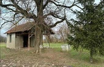 Eladó Sarkadi tanya hirdetés (24573571)