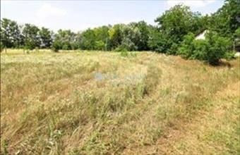 Eladó Domaszéki családi ház hirdetés (26698776)