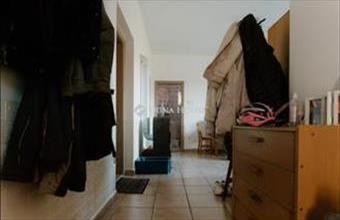 Eladó Papkeszi családi ház hirdetés (74193544)