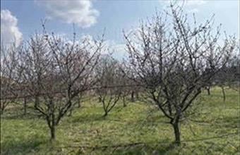 Eladó Téti lakóövezeti telek hirdetés (49786319)