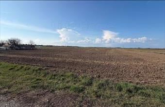 Eladó Balatonszabadi lakóövezeti telek hirdetés (92834423)