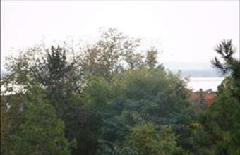 Eladó Vonyarcvashegyi lakóövezeti telek hirdetés (22844374)