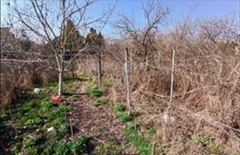 Eladó Dunakeszi lakóövezeti telek hirdetés (28472744)