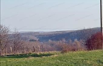 Eladó Lesencefalui egyéb mezőgazdasági ingatlan hirdetés (44744386)