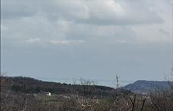 Eladó Pécselyi külterületi telek hirdetés (99537779)