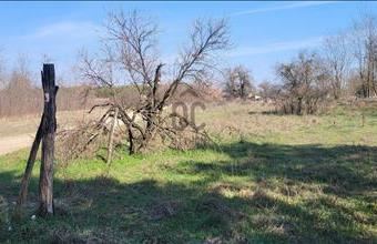 Eladó Csévharaszti egyéb mezőgazdasági ingatlan hirdetés (96797755)