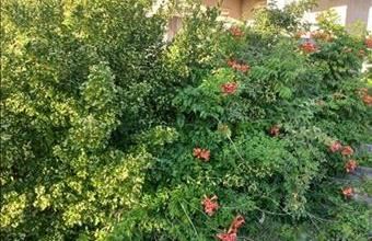 Eladó Úrhidai családi ház hirdetés (77611543)