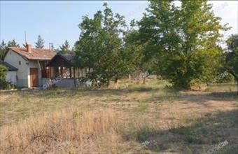 Eladó Kecskeméti családi ház hirdetés (29343439)