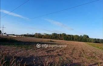 Eladó Ópusztaszeri egyéb mezőgazdasági ingatlan hirdetés (21944774)