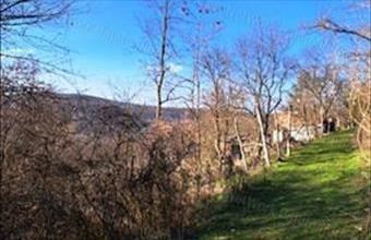 Eladó Kapolcsi egyéb mezőgazdasági ingatlan hirdetés (27363528)