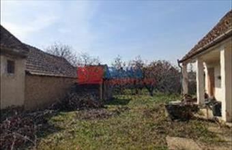 Eladó Alsónémedi egyéb telek hirdetés (23832863)