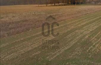 Eladó Nagykutasi lakóövezeti telek hirdetés (44937344)