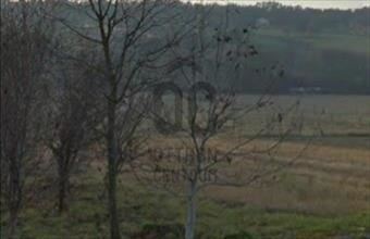 Eladó Nagykutasi lakóövezeti telek hirdetés (42485473)