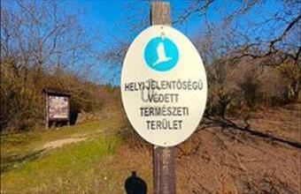 Eladó Érdi lakóövezeti telek hirdetés (63614994)