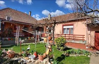 Eladó Kistarcsai családi ház hirdetés (63523334)