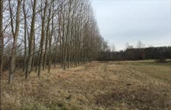 Eladó Téglási egyéb mezőgazdasági ingatlan hirdetés (92555233)