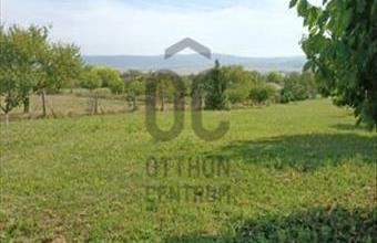 Eladó Töki külterületi telek hirdetés (18459598)