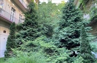 Eladó Budapest VI. kerületi tégla lakás hirdetés (73623774)