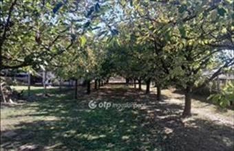 Eladó Zsámbéki lakóövezeti telek hirdetés (33269639)