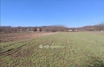 Eladó Töki egyéb mezőgazdasági ingatlan hirdetés (46375757)