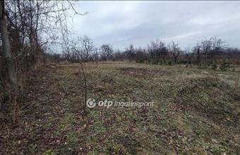 Eladó Zsámbéki külterületi telek hirdetés (44346423)