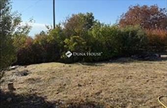 Eladó Pécsi családi ház hirdetés (23874234)