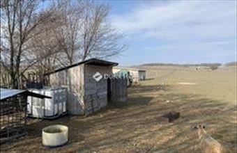 Eladó Őrbottyáni családi ház hirdetés (69474347)