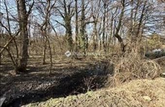 Eladó Szentendrei lakóövezeti telek hirdetés (62217817)