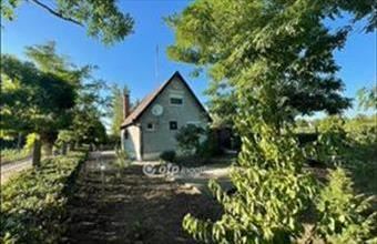 Eladó Soltvadkerti hétvégi ház hirdetés (38429636)