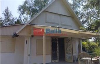 Eladó Kiskunlacházai családi ház hirdetés (24493149)