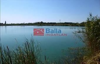 Eladó Délegyházai egyéb telek hirdetés (36275735)