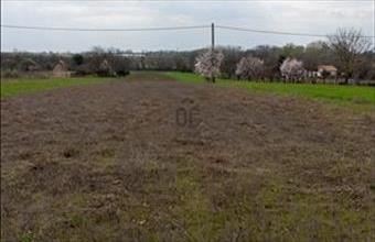 Eladó Gárdonyi lakóövezeti telek hirdetés (74936743)