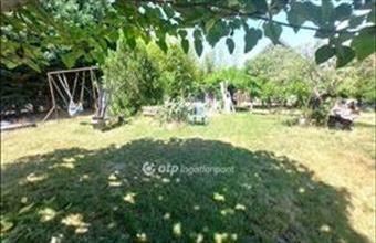 Eladó Martonvásári családi ház hirdetés (39253478)