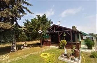 Eladó Tóalmási hétvégi ház hirdetés (53626773)