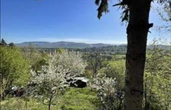 Eladó Verőcei családi ház hirdetés (49493885)