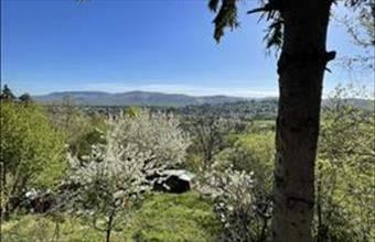 Eladó Verőcei családi ház hirdetés (49493885)