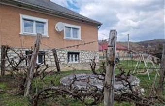 Eladó Nagyvisnyói családi ház hirdetés (39282357)