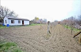 Eladó Szegedi egyéb mezőgazdasági ingatlan hirdetés (76863937)